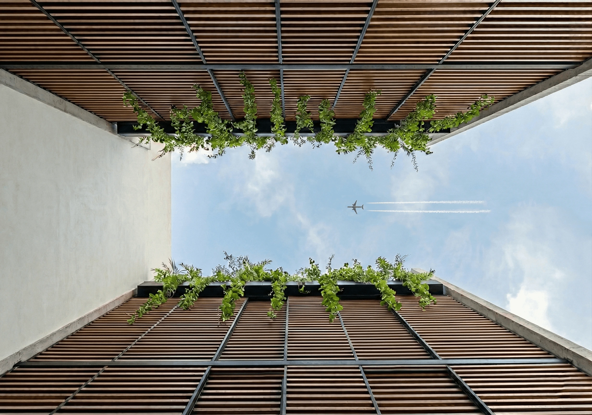 Patio y Cielo